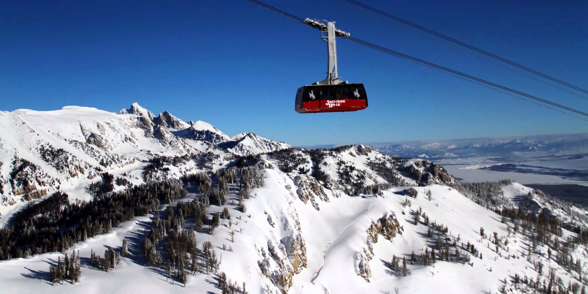 jackson tram